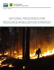 Rx-Fire-Strategy 2023 
June 17, 2023